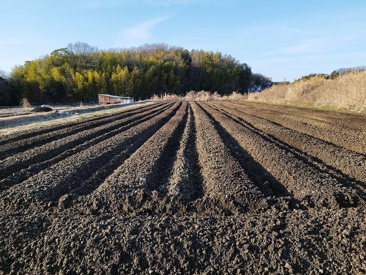 A freshly plowed vegetable field in Toyoake, Japan